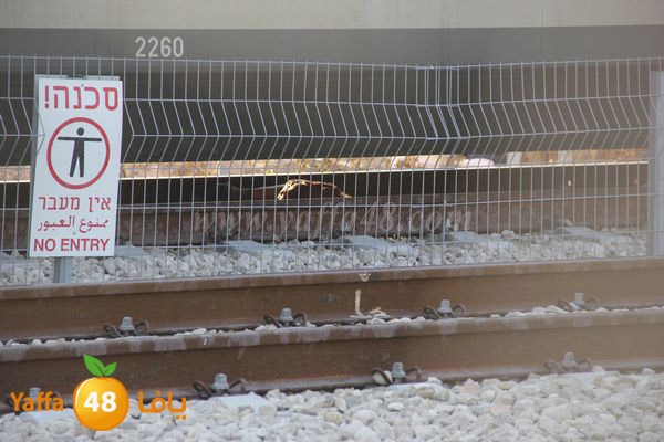 dahs lud 01121 (22).JPG